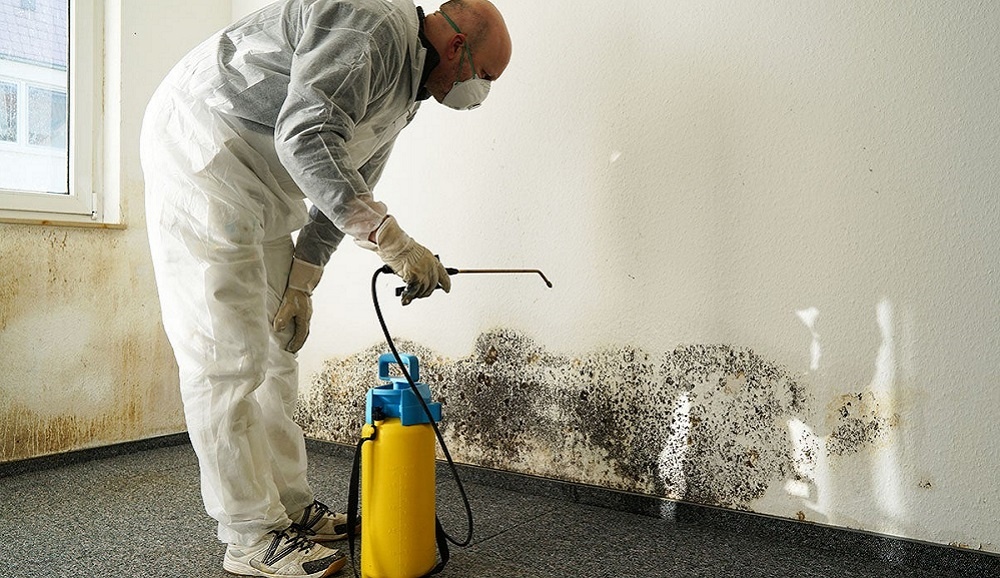 Mold removal company in Providence RI. Man with chemical spray for mold remediation RI