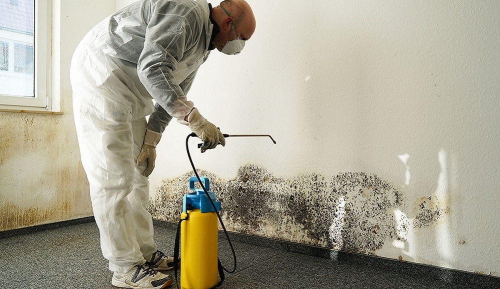 Miami Mold Remediation