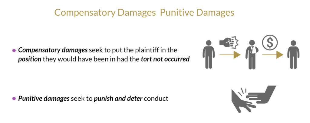 Compensatory vs Punitive damages explanation chart